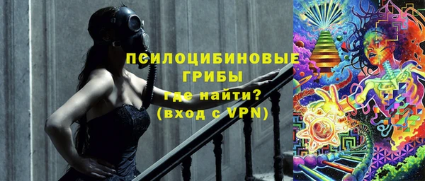 гидра Балахна