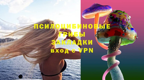 гидра Балахна