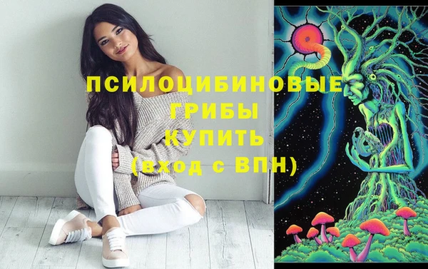 крисы Арсеньев